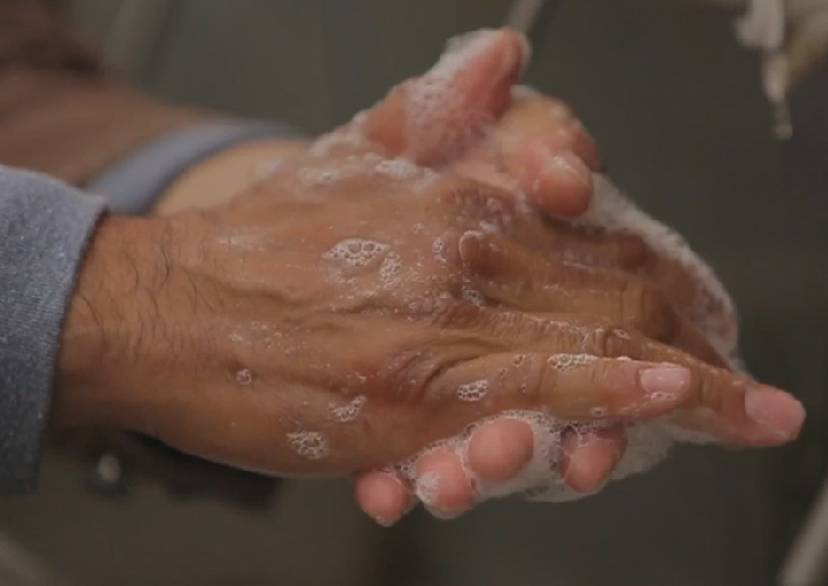 California Leafy Greens Marketing Agreement shares safety facts