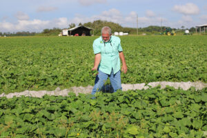 Man in a tshirt standing in a field and holding cabbage in his hand