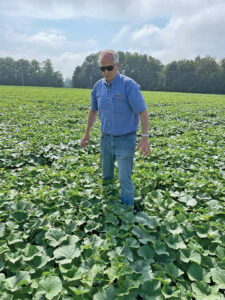 White man in a blue shirt and jeans standing in a field 