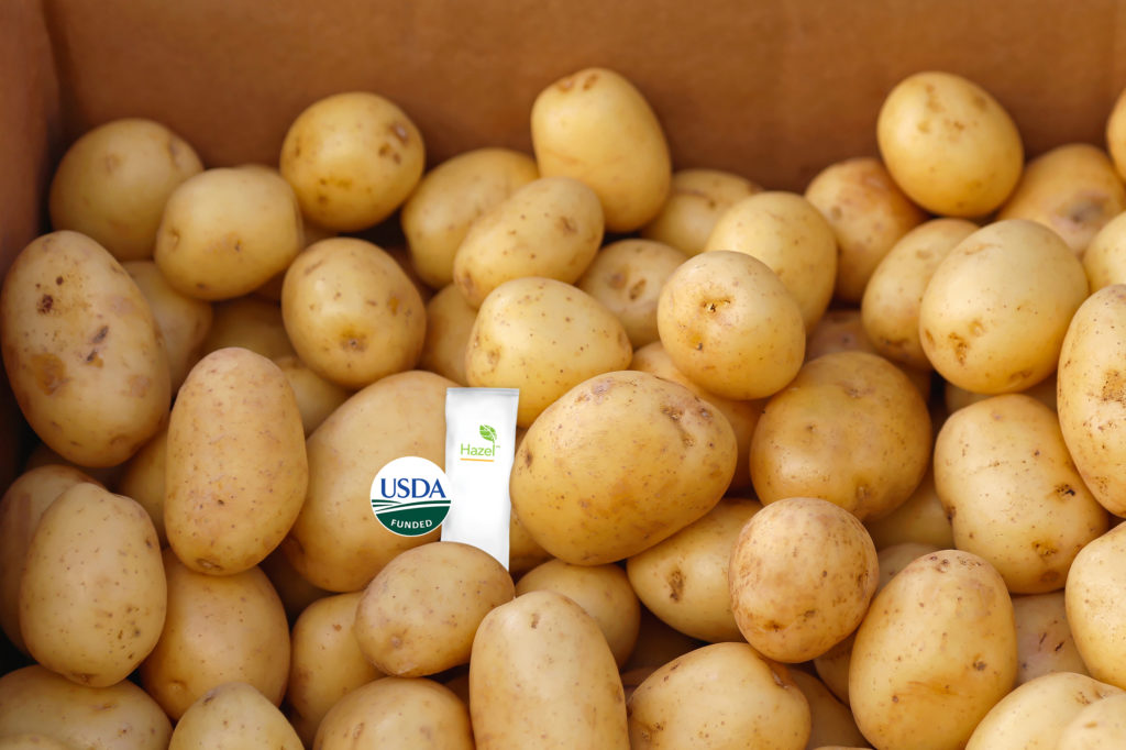Sprout prevention aided by Hazel Technologies’ USDA funding