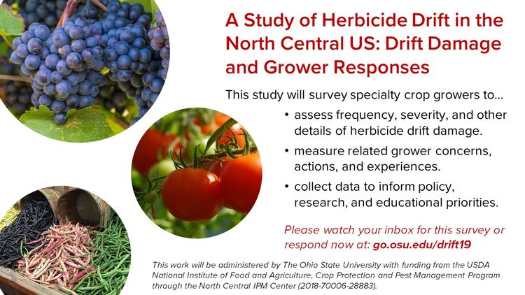 Herbicide drift on specialty crops survey targets Central US growers