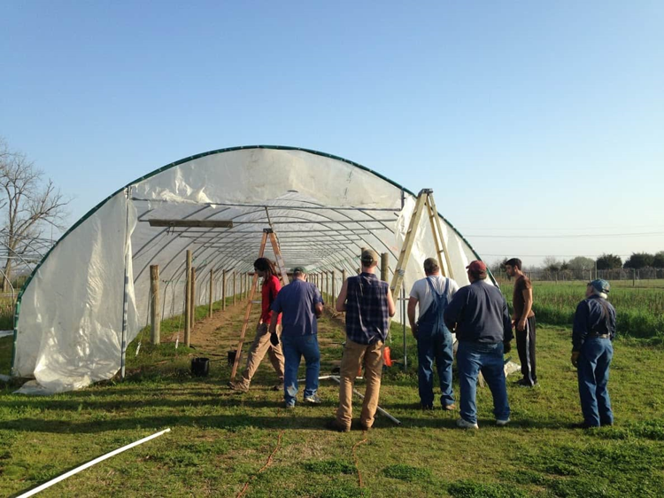 High tunnel specialty crop growing offers benefits