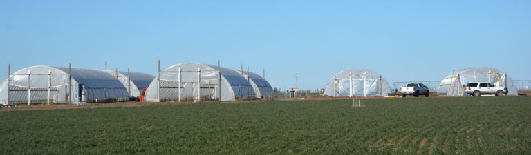 Fortified ‘high tunnel’ structures withstand ‘bomb cyclone’ winds