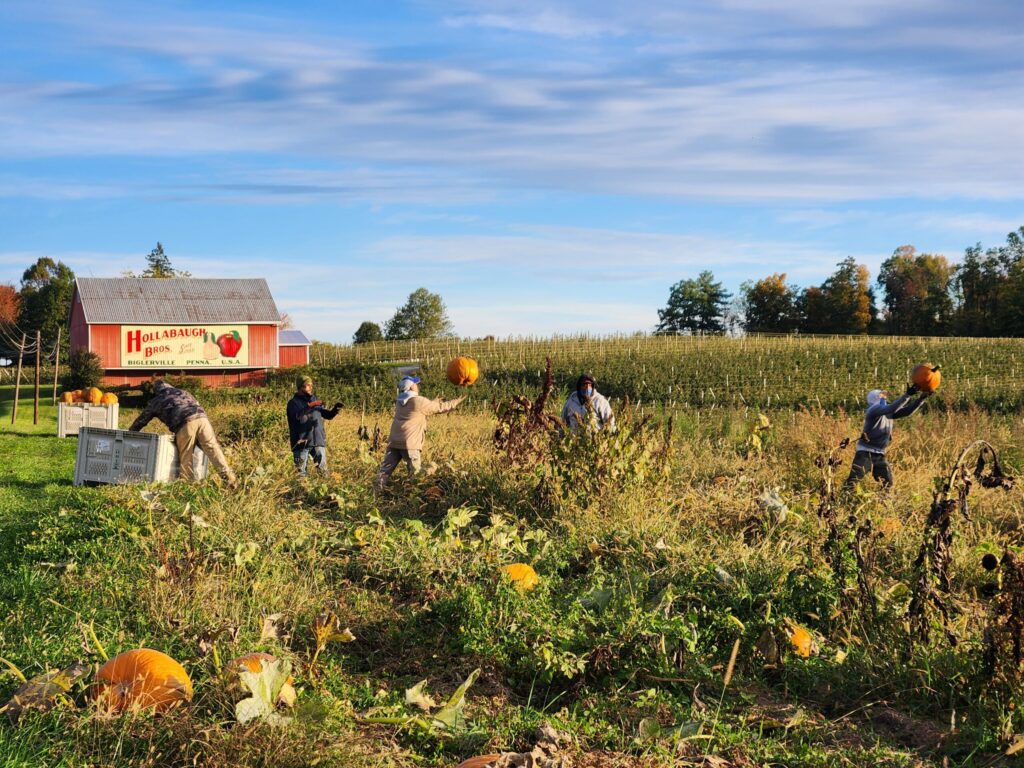 Hollabaugh’s Pennsylvania vegetable, farm market success