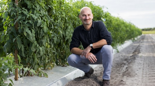 Entomologist to present history of vegetable pests