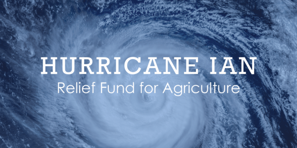 Hurricane relief fund started for Florida growers
