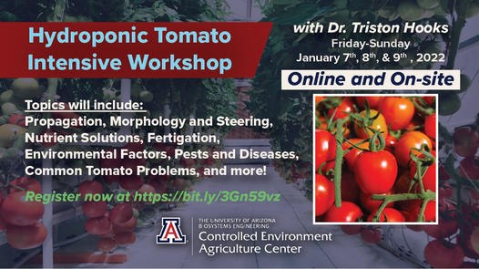 Hydroponic Tomato Intensive Workshop set for online and on-site