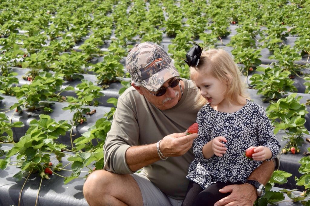 Harrell honored for commitment to Florida strawberries