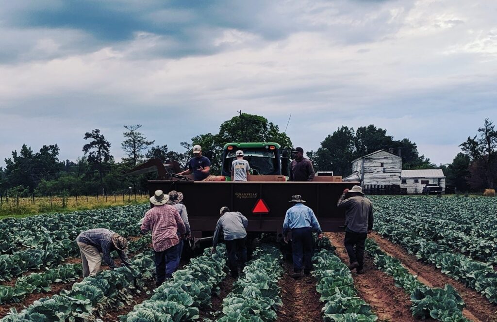 Legislators reintroduce farm labor bill in Congress