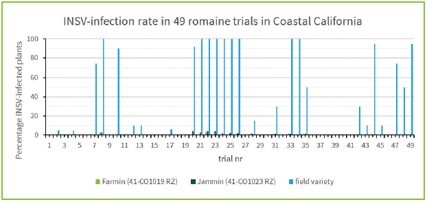 INSV DEFENSE: Breakthrough against INSV with first resistant lettuce varieties