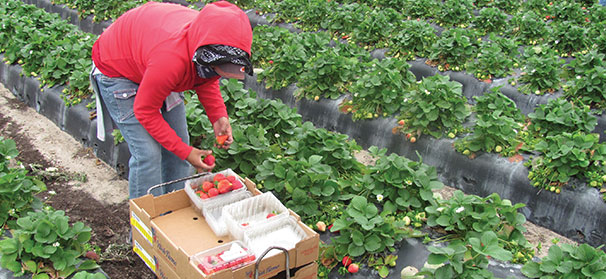Fewer, more vigorous I-9 audits to be conducted