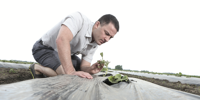 Protein-based biologicals among trends in integrated pest management