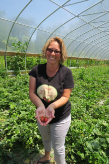 Grant helps West Virginia farm test strawberry planting dates