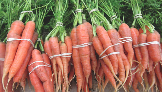 Michigan carrot growers to vote on program changes