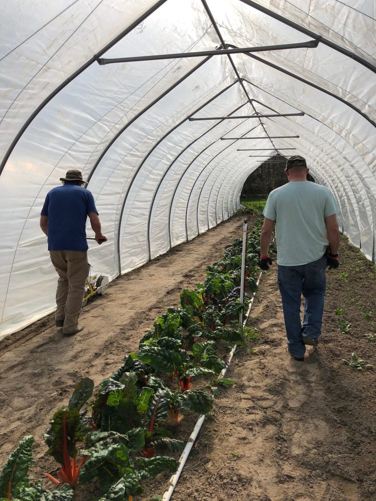 North Carolina’s Indigo Farms Market puts emphasis on local customer base
