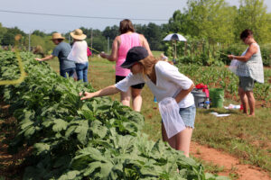 Maryland Extension: Spring scouting checklist for specialty crop growers