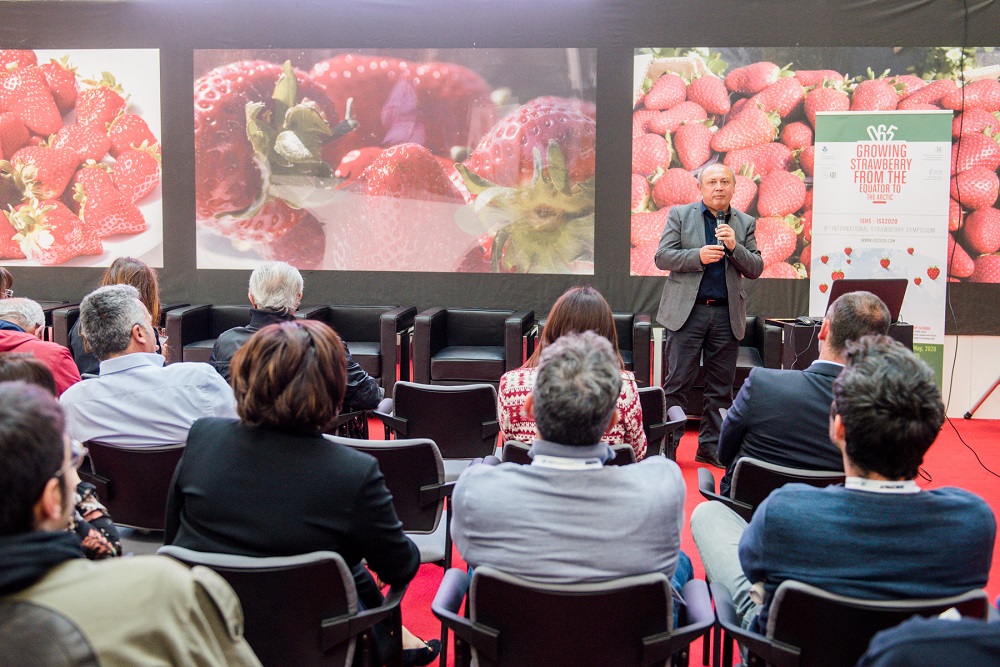 Memorial award to be presented during International Strawberry Symposium