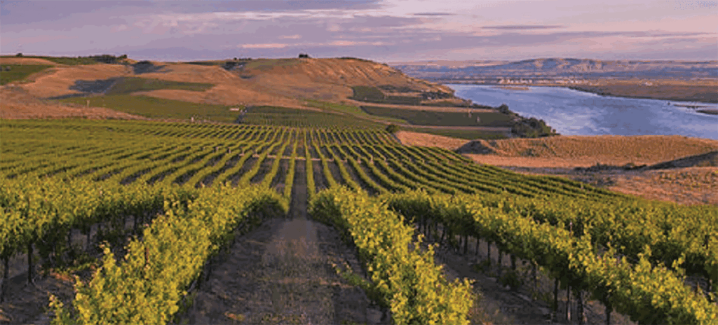 Columbia Basin water availability topic of forecast