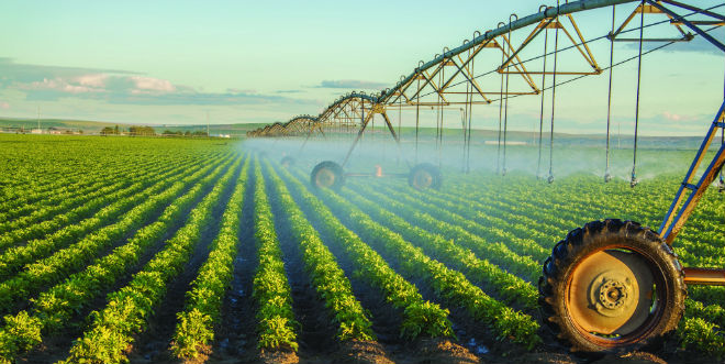 Programs govern Michigan water use