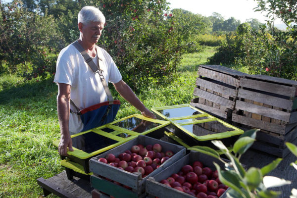 Solar crop dehydrators startup receives funding