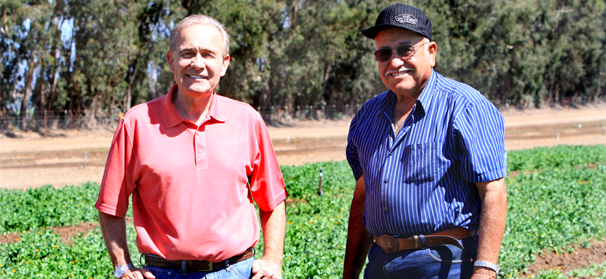 JV Farms Organic recycling efforts spread companywide