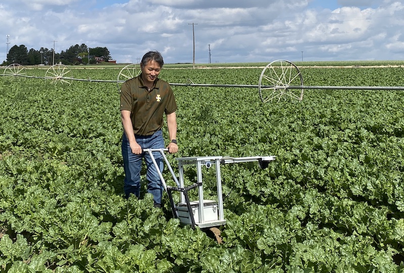 University of Idaho researchers help develop of solar-powered weeding robot