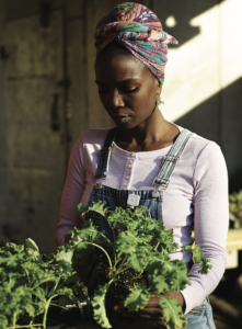 Jamila Norman views some curly kale Jamila Norman views some curly kale