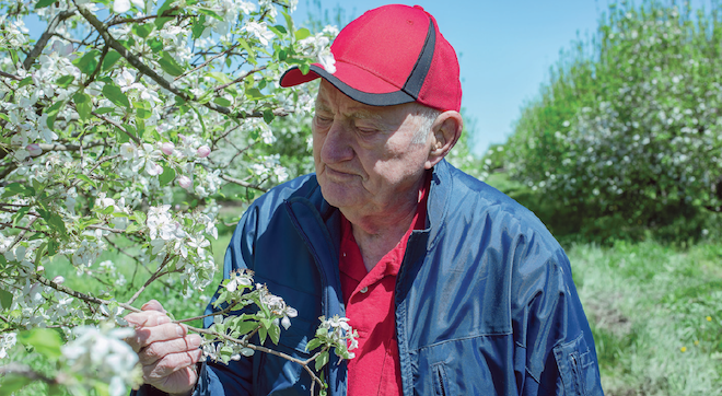 Jerry Mills: Pipe layers spur ideas for installing irrigation lines