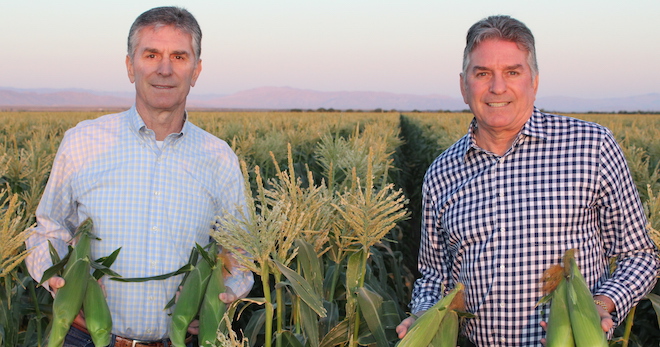 Five Crowns Marketing expands year-round marketing