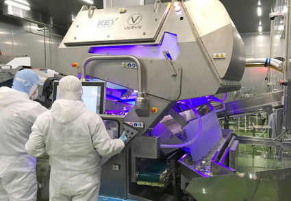 Key Technology ‘s VERYX sorters for fresh-cut leafy greens