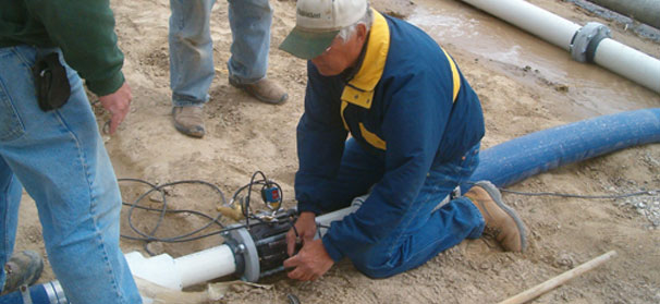 Genome sequencing furthers knowledge of pathogen