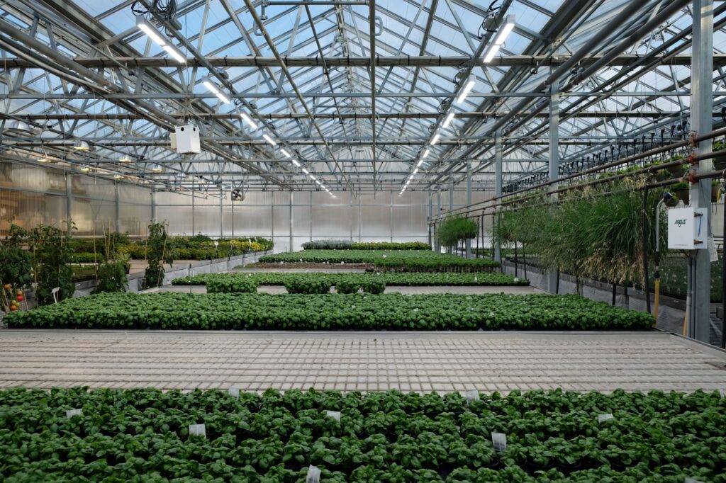 Rutgers research reveals information gaps on LED lighting for indoor crops