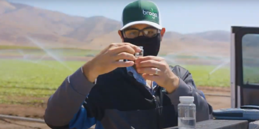 LGMA audit data released on new water requirements