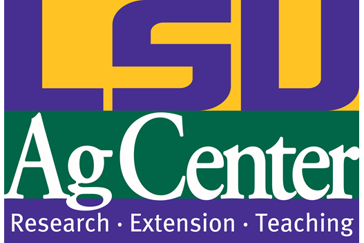 Lost Louisiana State University plant varieties rediscovered