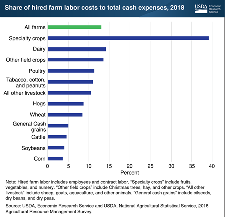 Specialty crops: Highest share of labor costs to total cash expenses at 39%