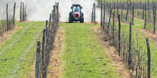 NCAE column: Amid the chaos, farmers lace up their boots for work