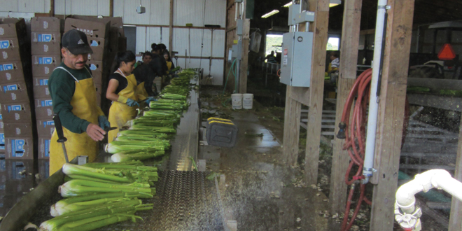 Webinar on May 7 by Penn State focuses on H-2A visa program issues