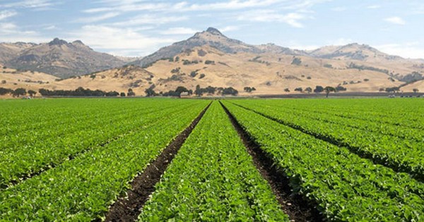 Government, academia and farmers join forces to improve food safety