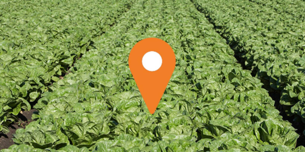 A look at what’s behind LGMA’s preharvest testing requirement