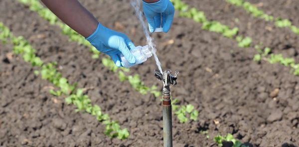 WSU water survey: Okanogan, Methow, Walla Walla, Yakima basins