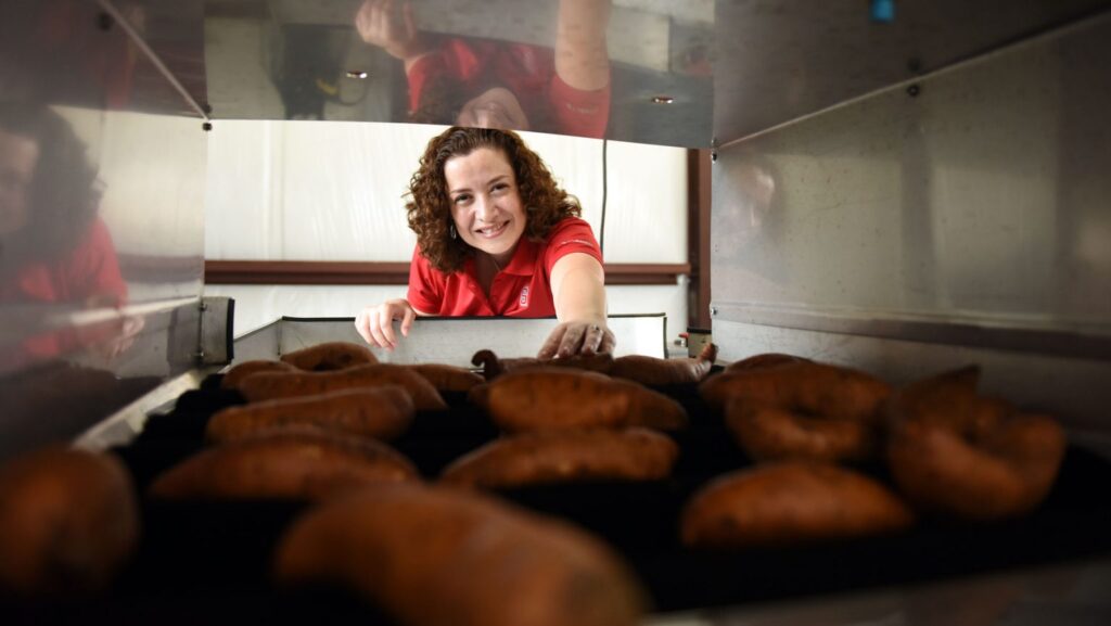 $1.2M FAS grant funds NC State sweetpotato research
