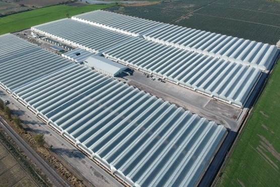 Lipman Family Farms adds 75-acre greenhouse in Mexico