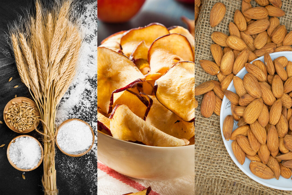 Low-moisture food safety study gets MSU researcher $9.8M