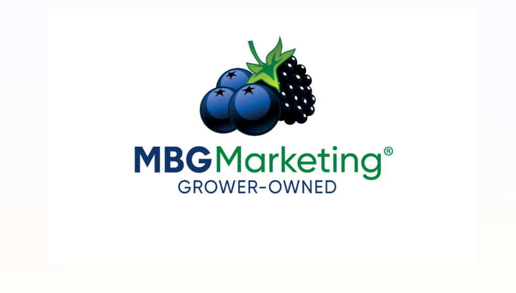 MBG Marketing CEO Brad Moorer dies