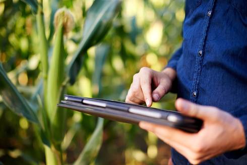 Focus on precision technology at MSU Ag Innovation Day on July 26