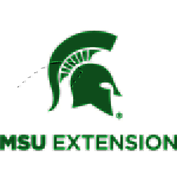 MSU’s vegetable crop report provides updates, indicates rising disease pressures