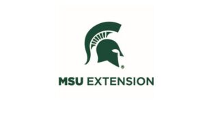 Tomato growers: MSU says the time is now to scout for mites