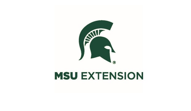 Tomato growers: MSU says the time is now to scout for mites