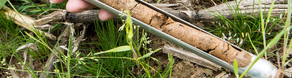 Soil testing program returns to MSU