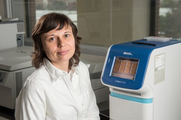 MSU lab helps protect Michigan’s vegetable crops